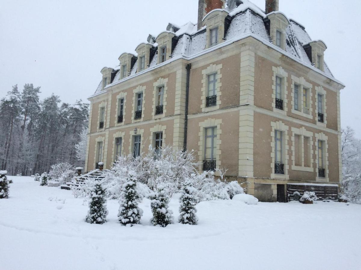 Chateau Des Essards Avec Piscine Et Jacuzzi Langeais Buitenkant foto